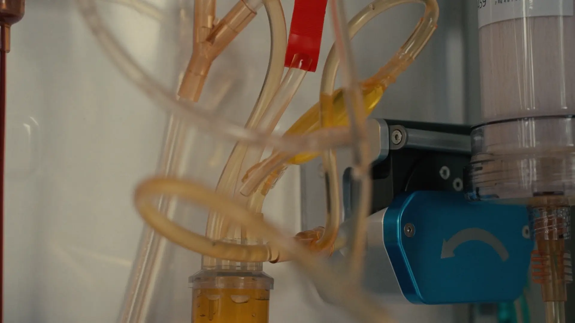 Amber plasma passing through the fractionator tubing during filtration